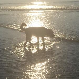 Meet your Posher, Kerri